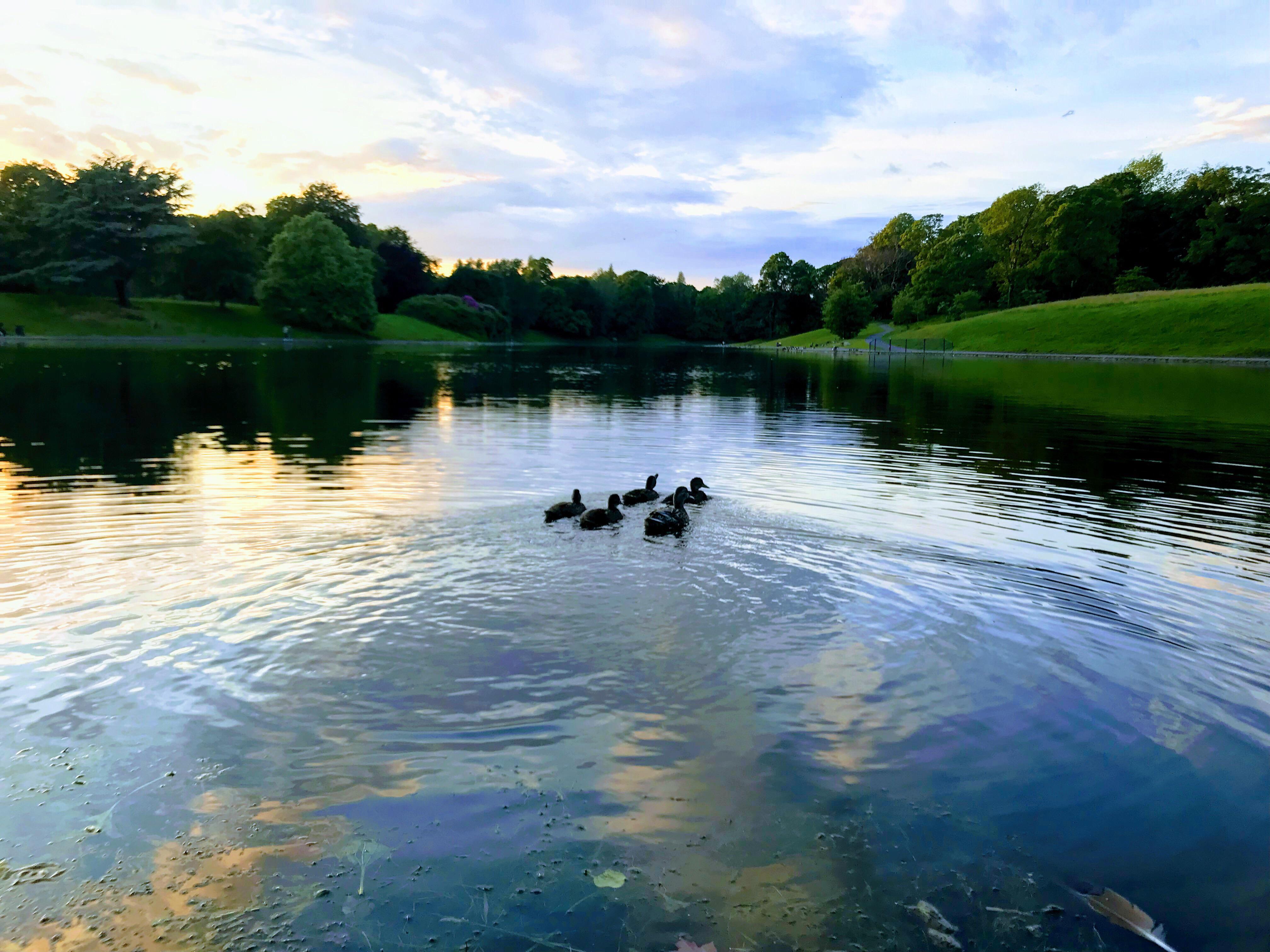 Sefton Park Hotel Liverpool Exterior foto